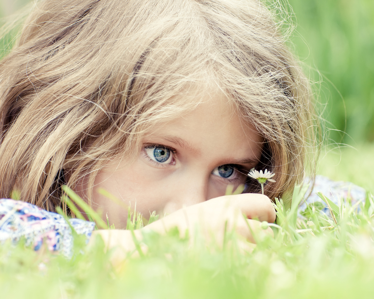 Маленькая голубоглазая девочка на траве с ромашкой