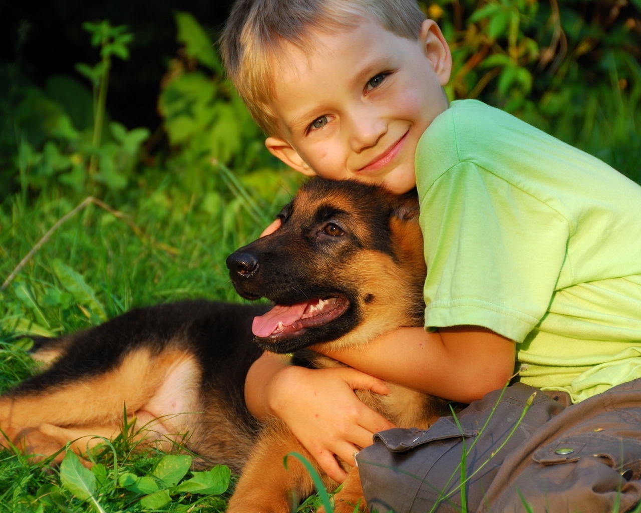 Маленький мальчик обнимает щенка немецкой овчарки