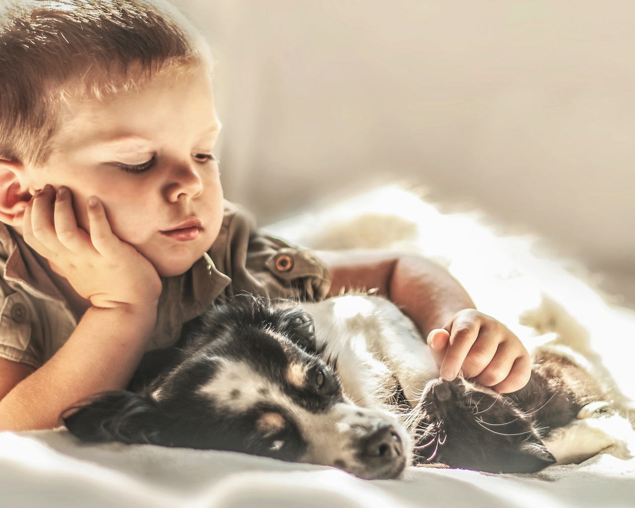 Маленький мальчик лежит с собакой и котом