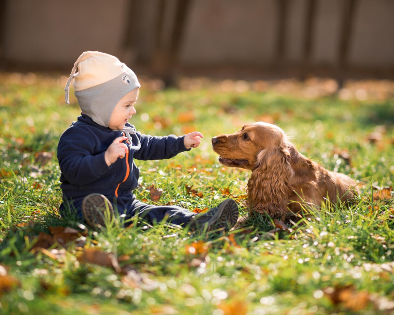 Маленький мальчик сидит на траве с собакой 
