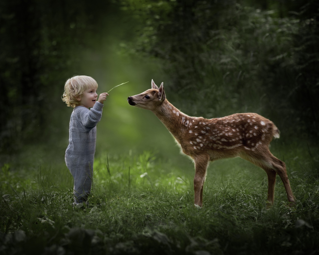Маленький мальчик с оленем в лесу