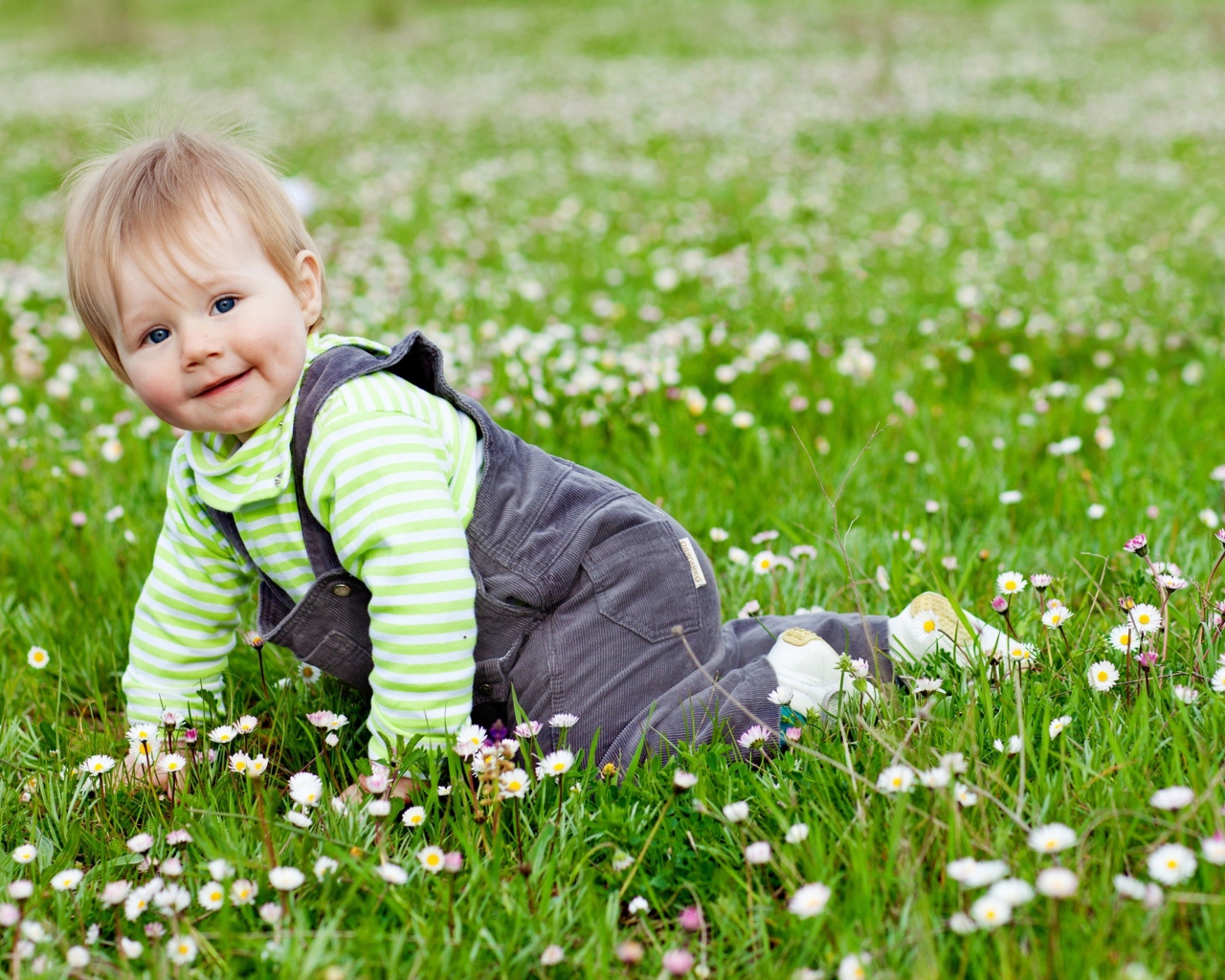 Маленький веселый мальчик на поляне с белыми цветами
