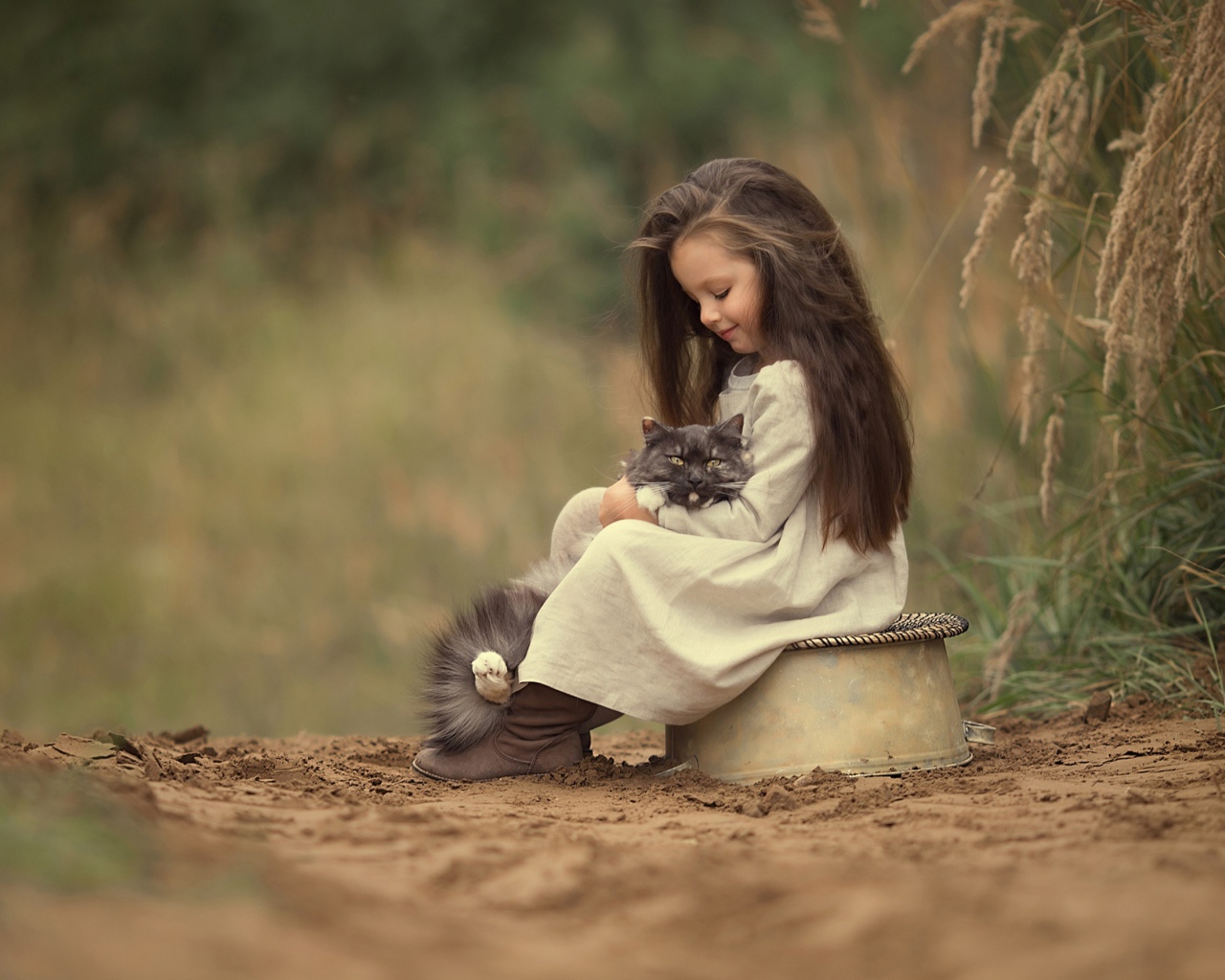 Маленькая милая девочка с котом на дороге 