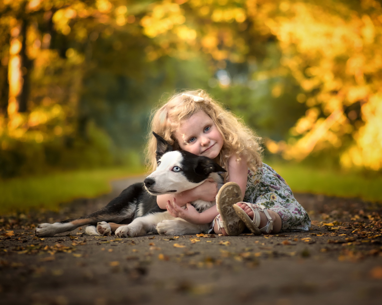 Маленькая девочка обнимает собаку на дороге осенью