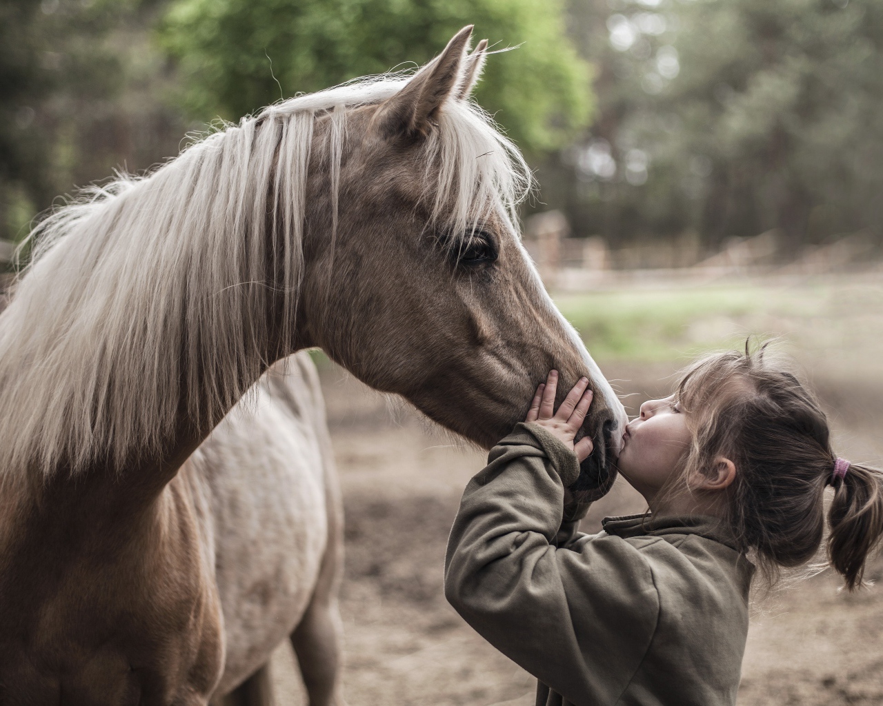 Маленькая девочка целует коня