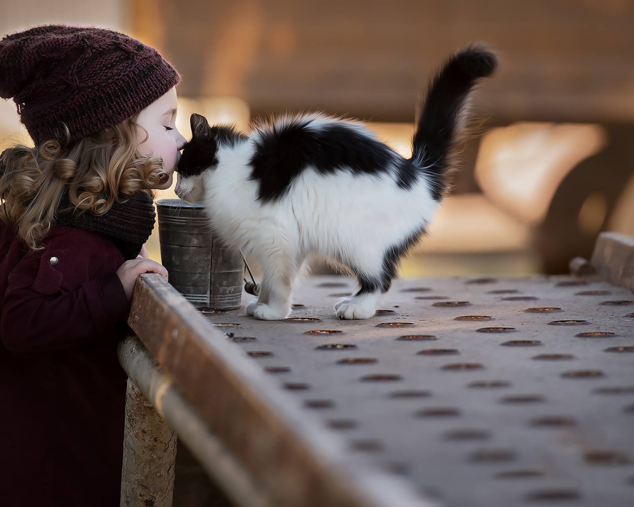 Маленькая девочка целует котенка 