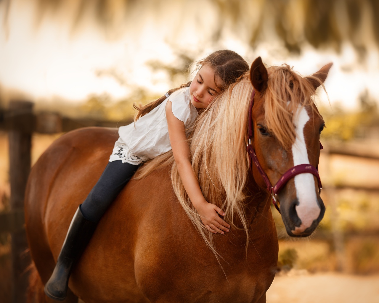 Маленькая девочка сидит на коне
