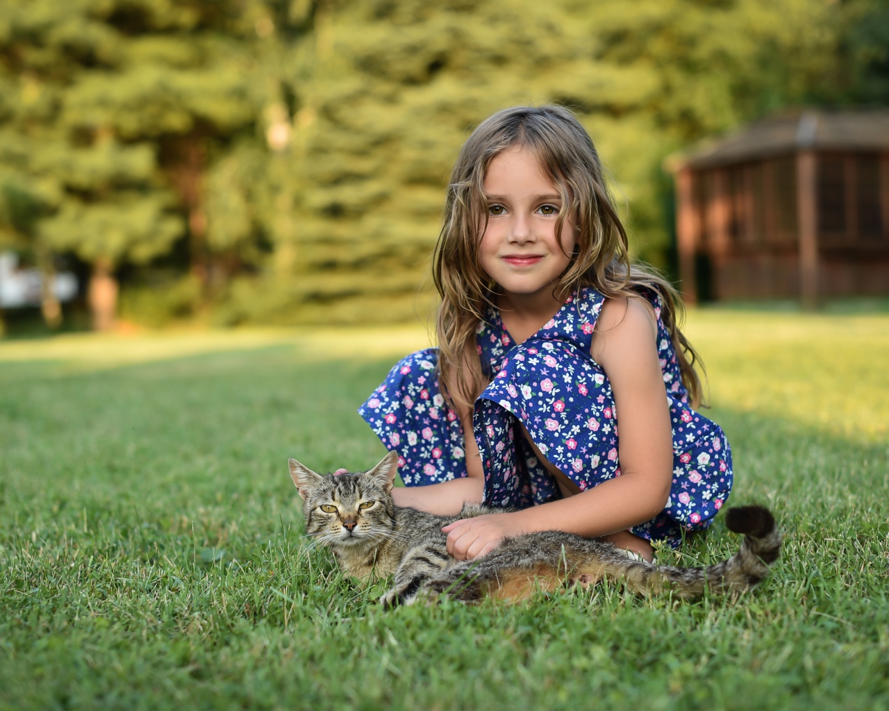Маленькая девочка сидит на зеленой траве с серым котом