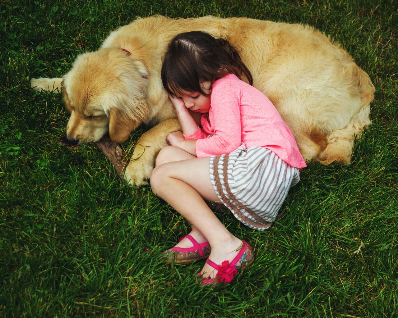 Маленькая девочка спит на зеленой траве с собакой