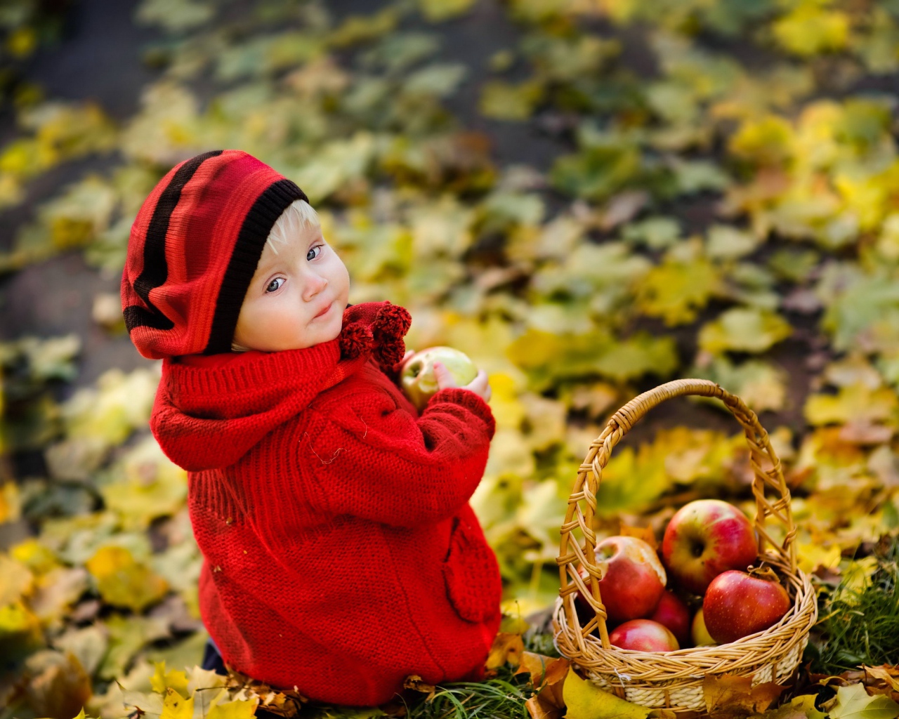 Маленькая девочка с корзиной яблок осенью