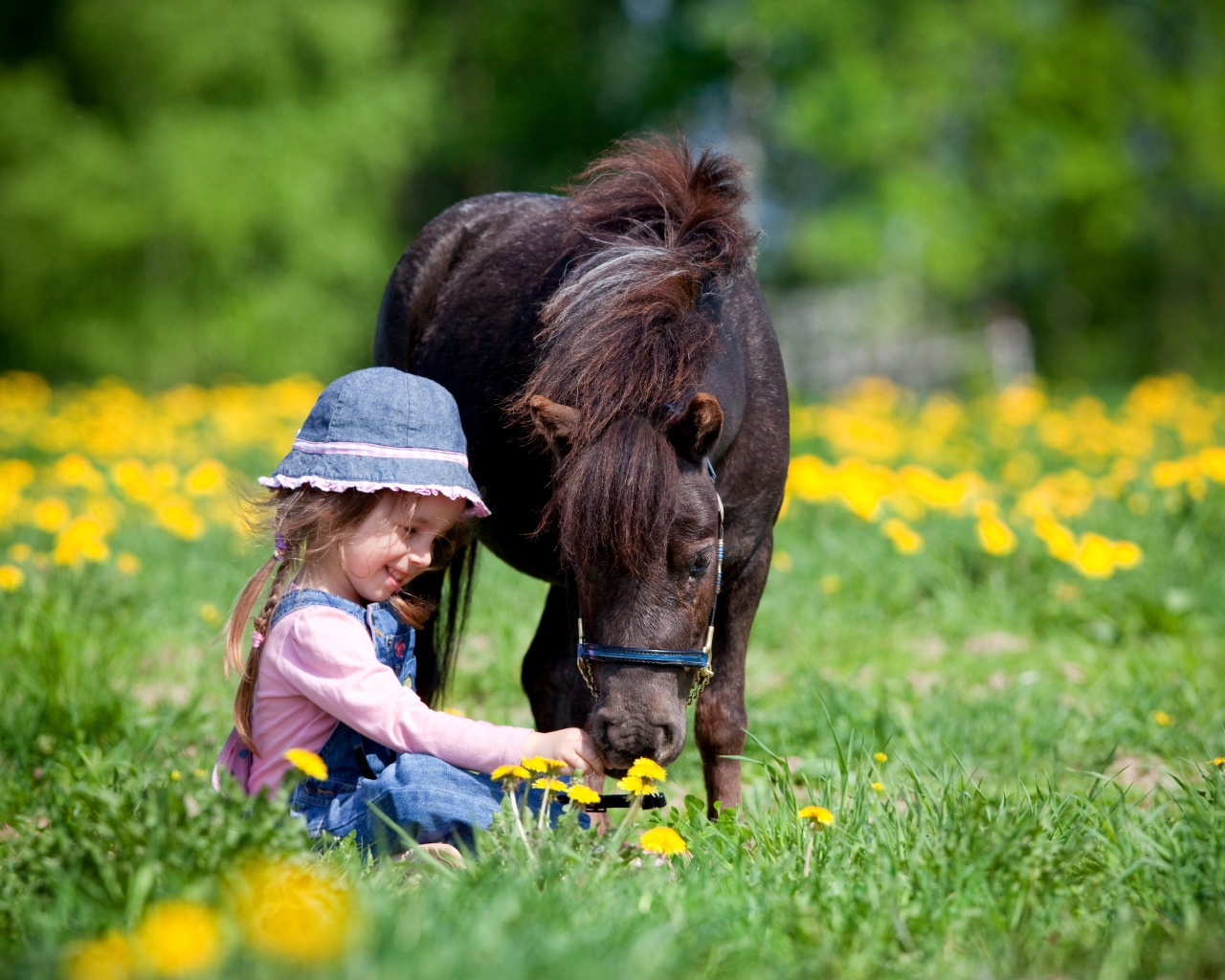 Маленькая девочка с пони сидит на поле с одуванчиками