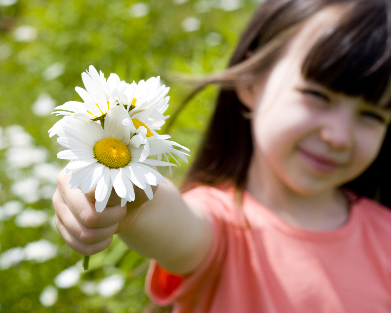 Маленькая девочка с ромашками в руке