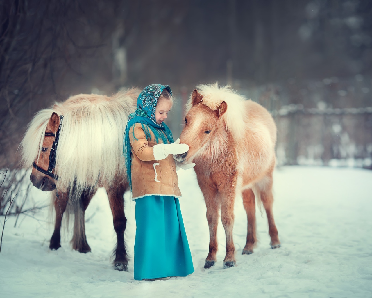 Маленькая девочка с пони зимой