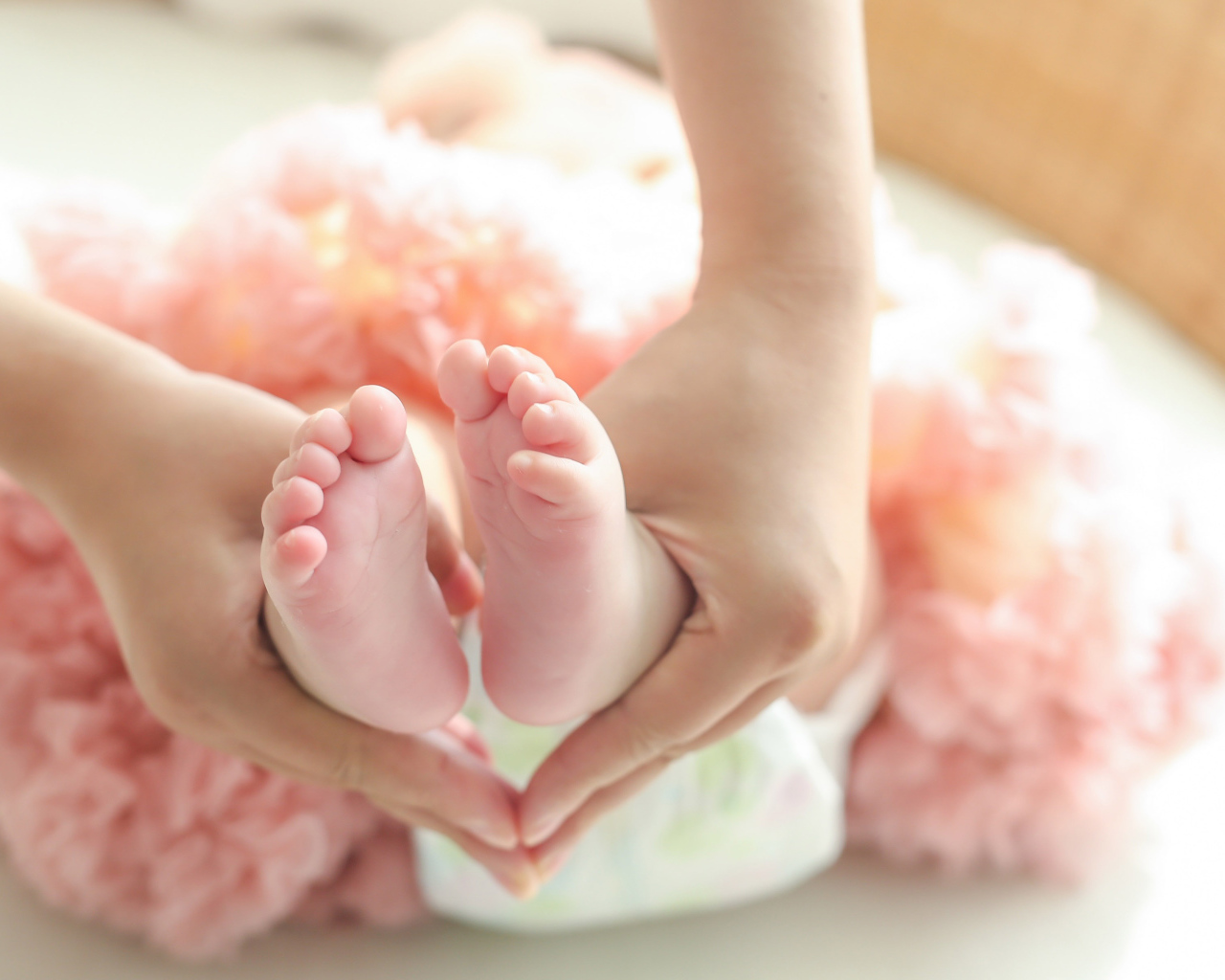 Маленькие ножки новорожденного в ладонях у мамы 