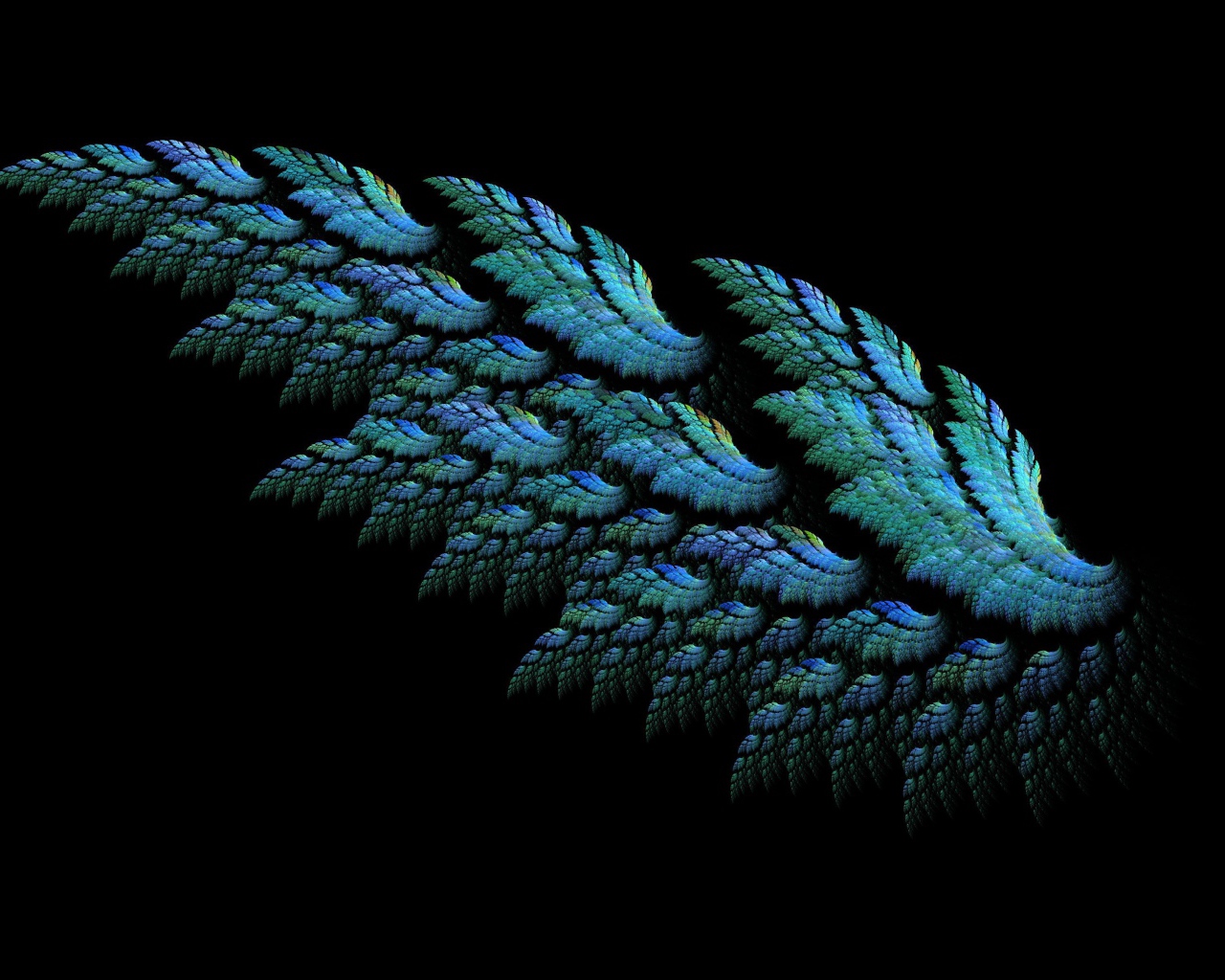 Beautiful wing on a black background 3D graphics