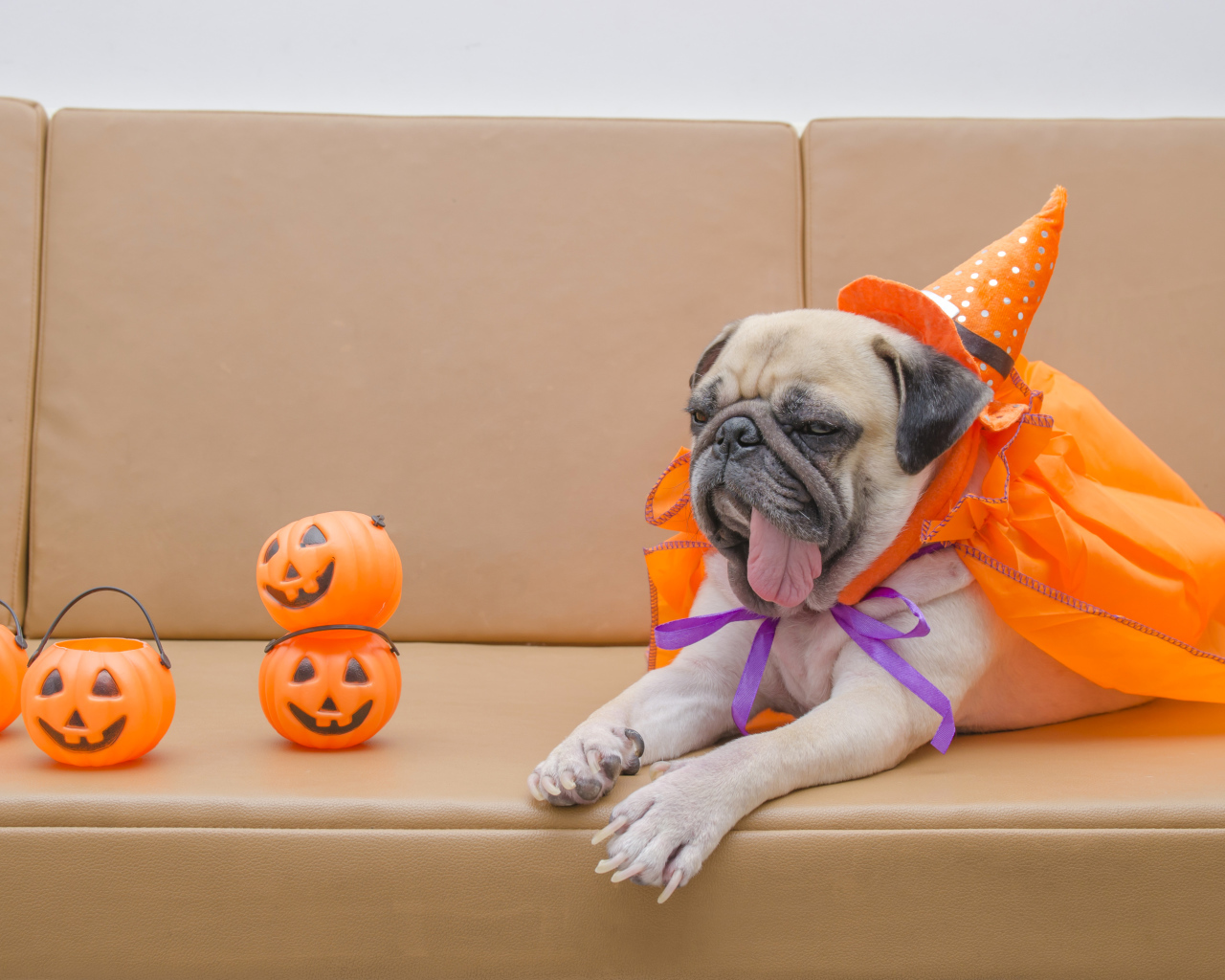 Мопс костюме на Хэллоуин лежит на диване