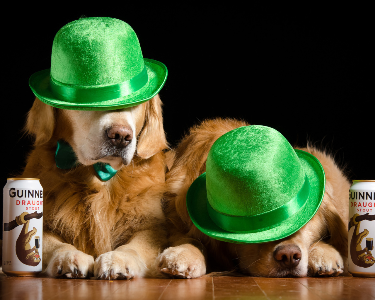 Два золотистых ретривера в зеленых шляпах