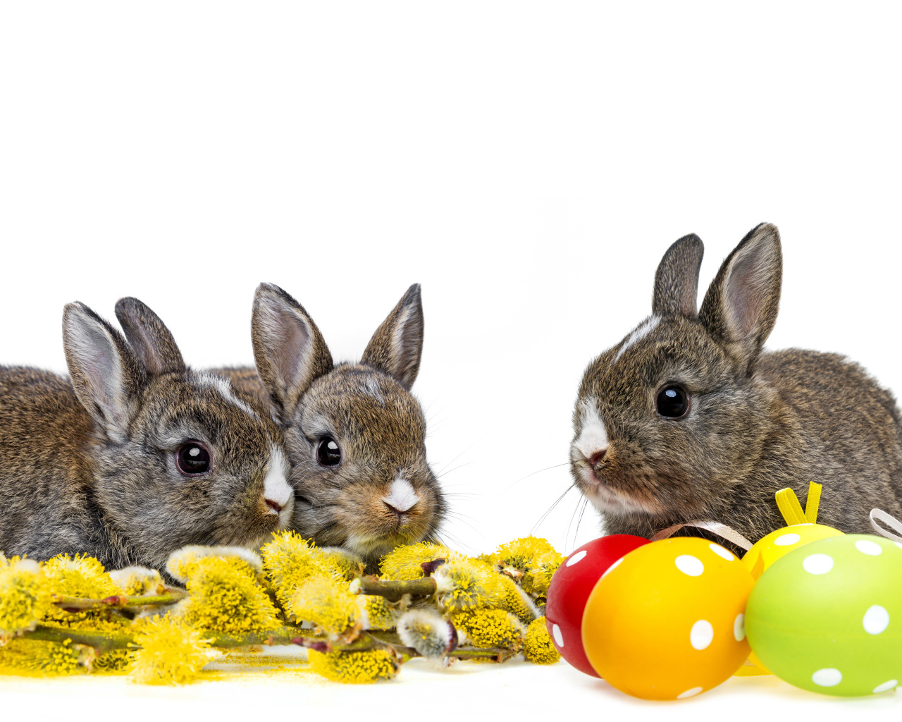 Маленькие серые кролики с веткой вербы и крашеными яйцами на белом фоне
