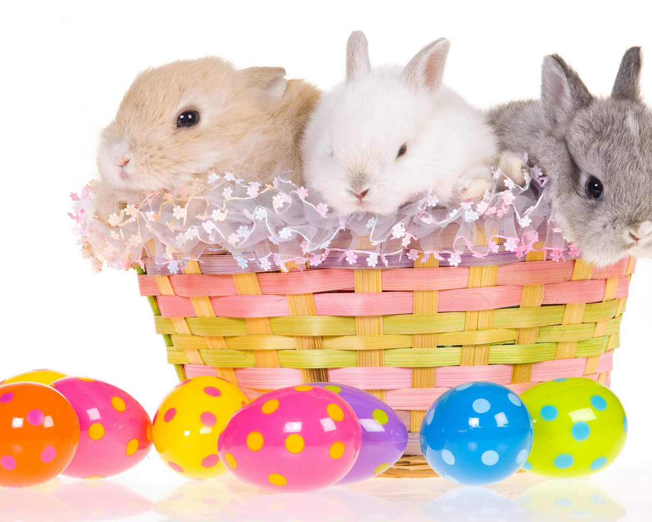 Три маленьких декоративных кролика в корзине на белом фоне с пасхальными яйцами