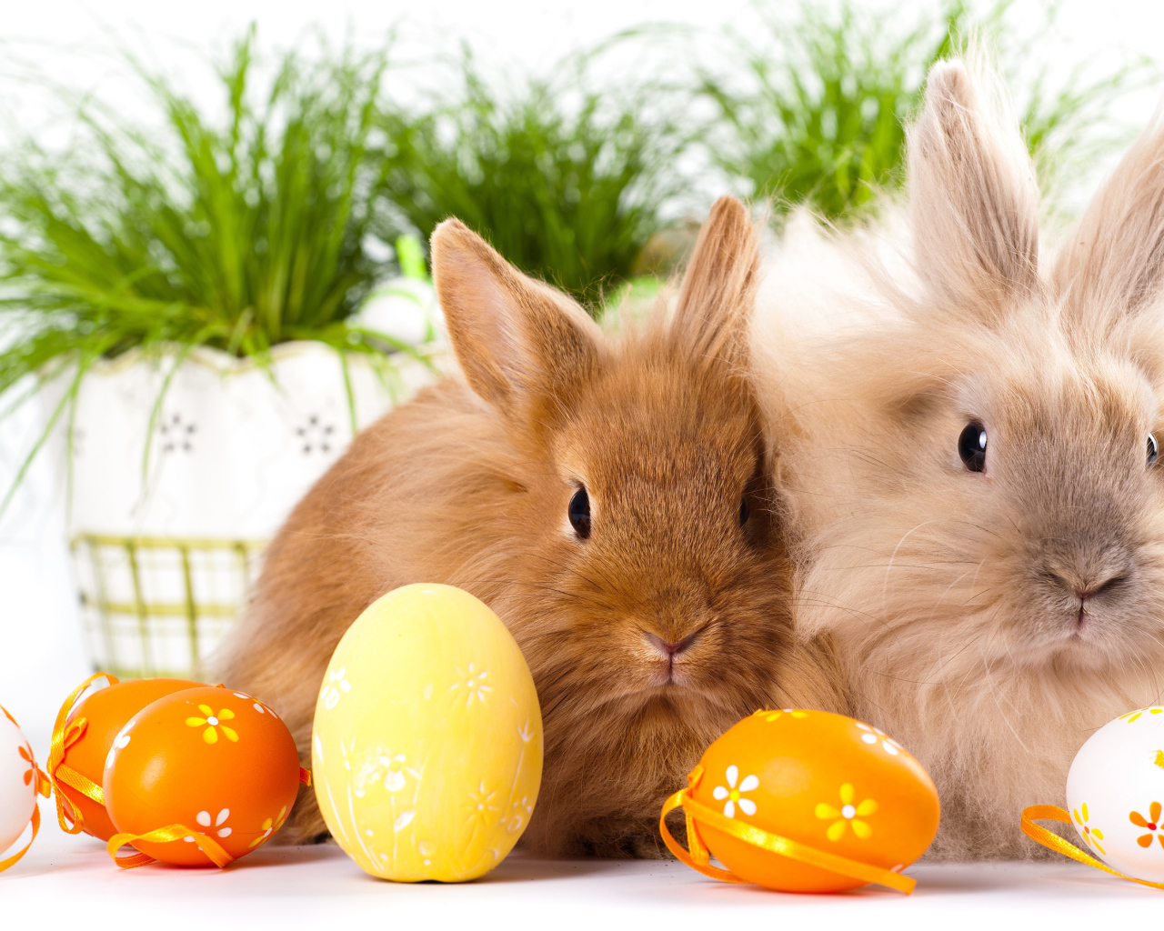 Two fluffy decorative bunnies with painted eggs