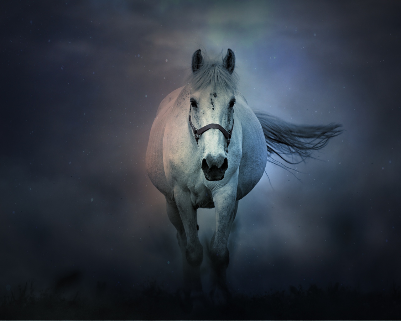 Большая белая лошадь бежит в тумане