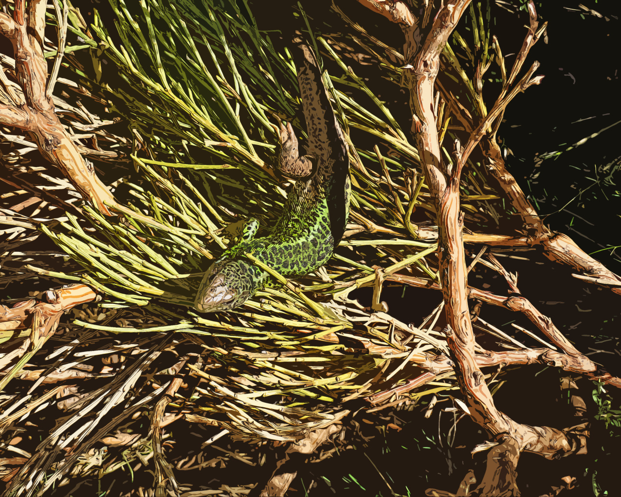 Зеленая ящерица в ветках 