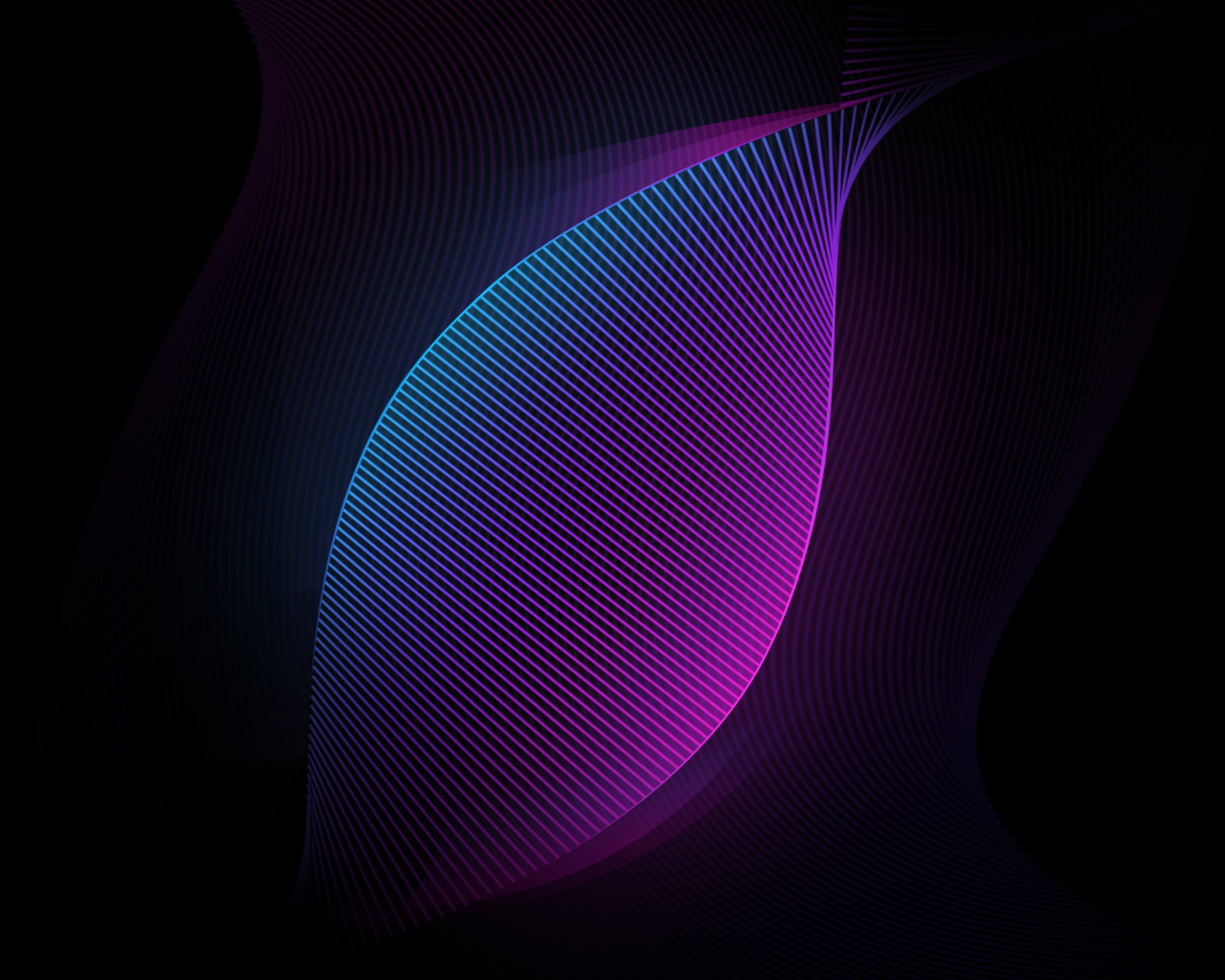 Неоновые сети на черном фоне