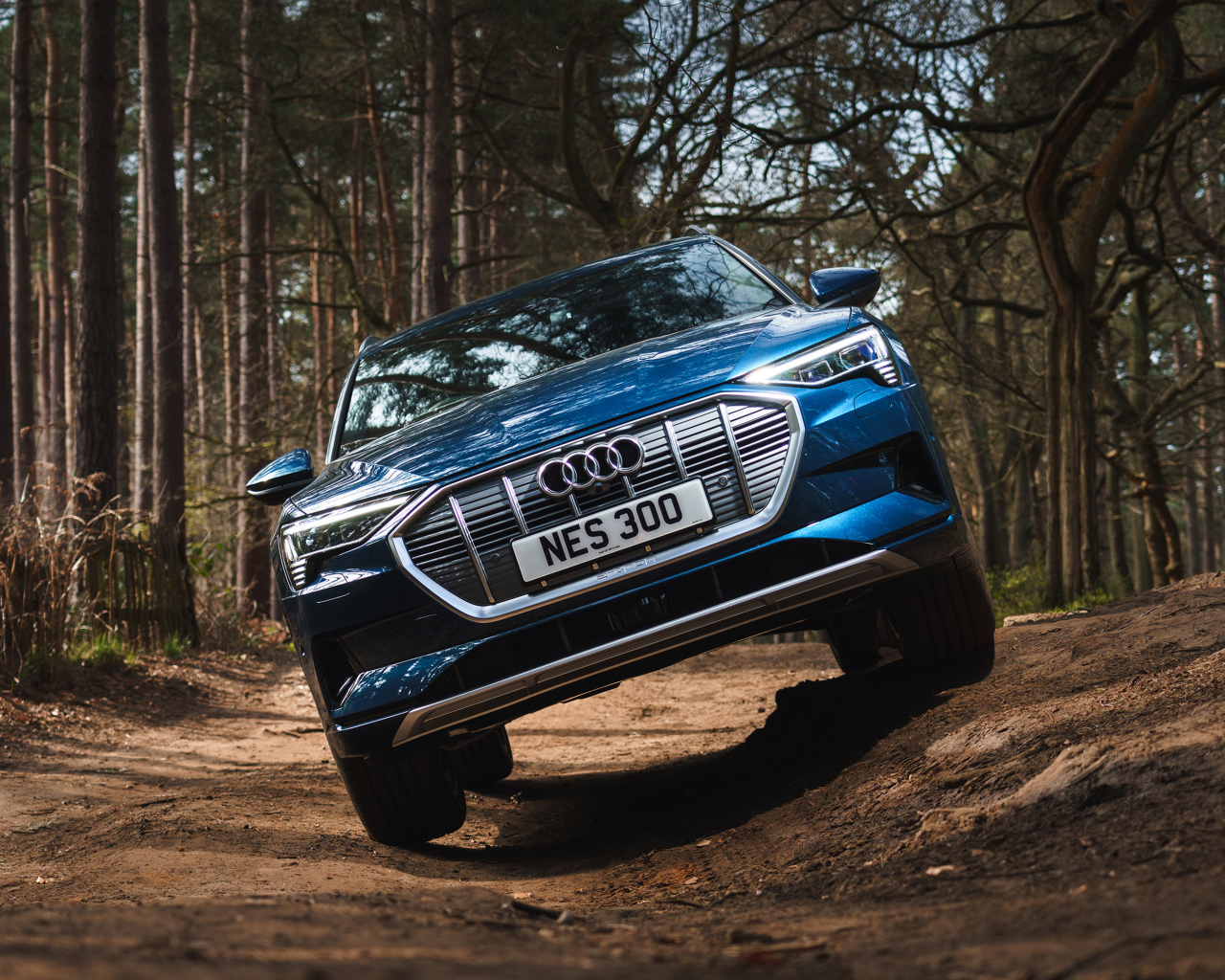 Синий внедорожник Audi E-Tron 55 Quattro 2019 в лесу