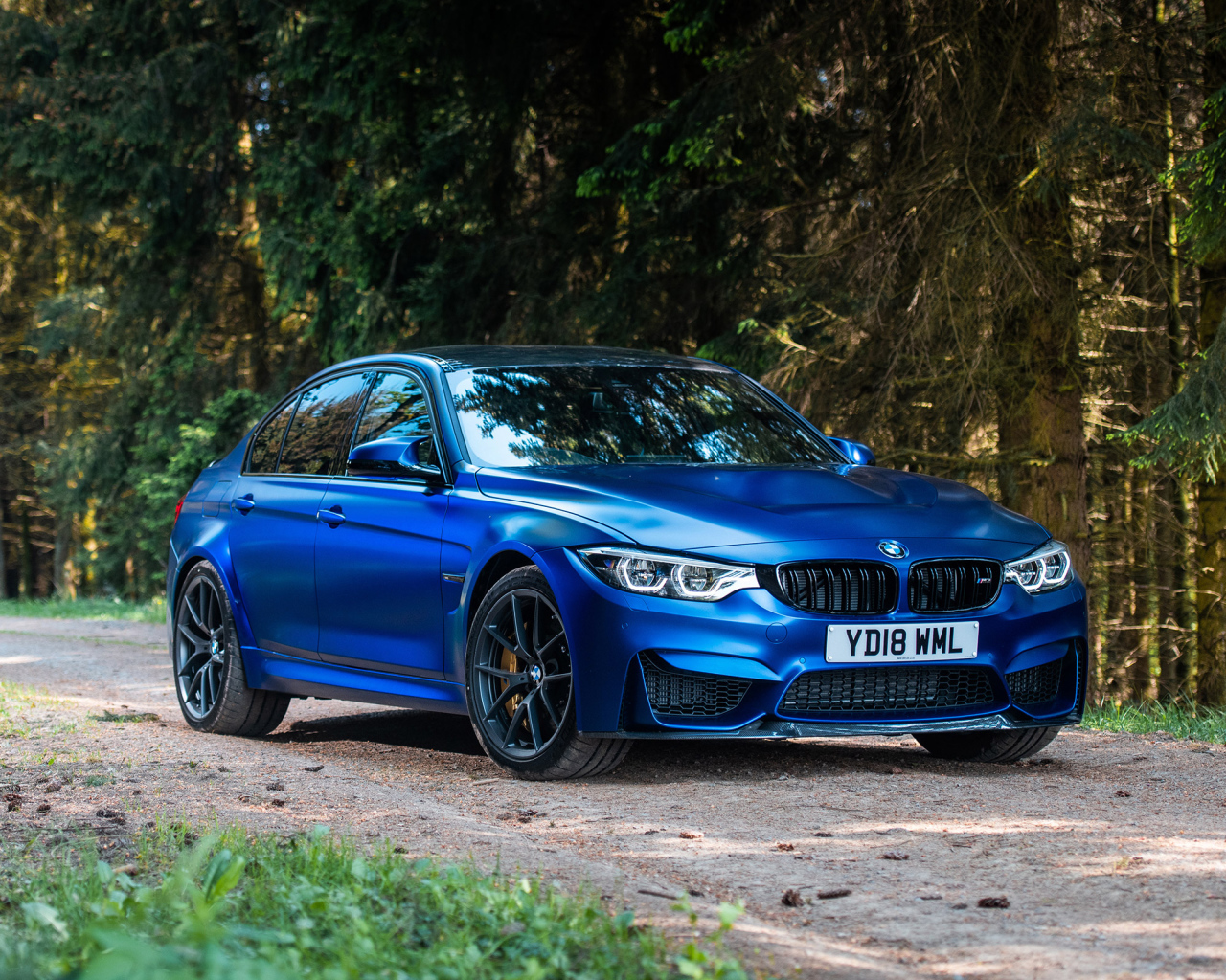 Синий автомобиль BMW M3 на фоне деревьев