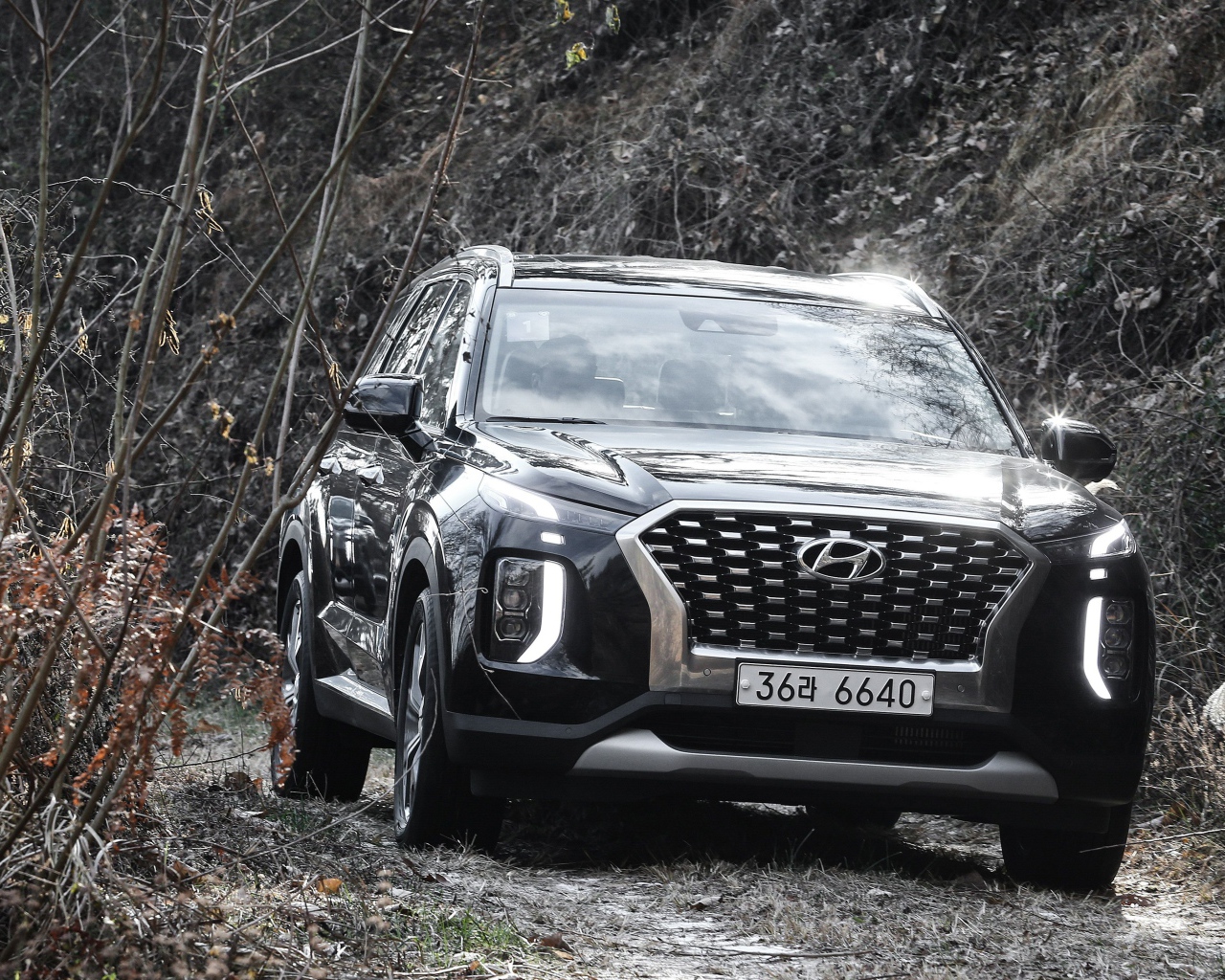 Черный внедорожник Hyundai Palisade 2019 года в зарослях 