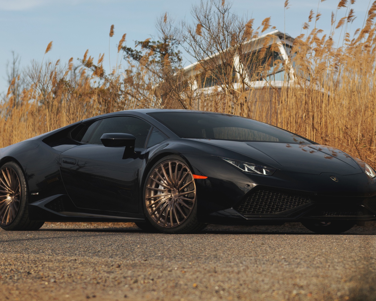 Черный автомобиль Lamborghini Huracan на фоне камыша