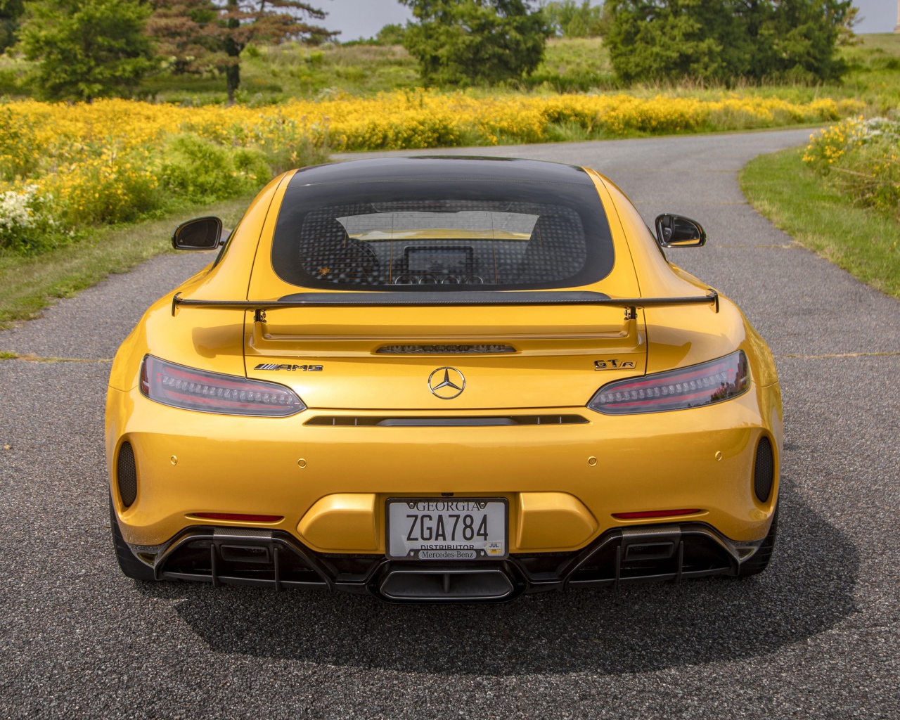Желтый автомобиль  Mercedes-AMG GT R, 2020 года вид сзади