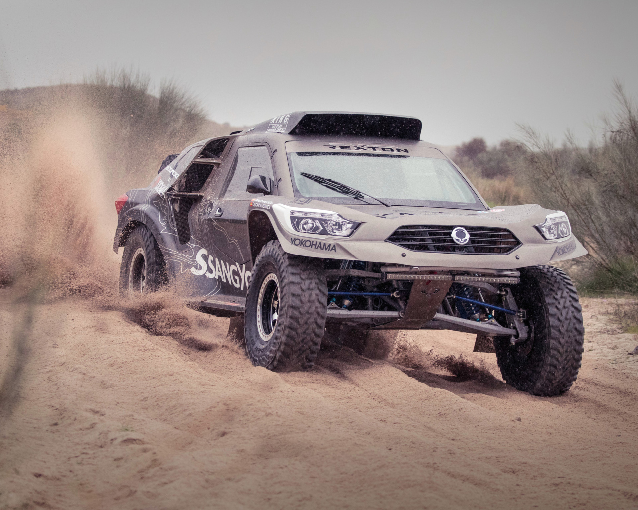 Внедорожник SsangYong Rexton DKR 2019 года 