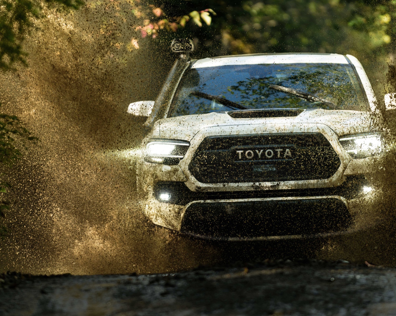 Внедорожник Toyota Tacoma, 2020 года едет по грязной воде