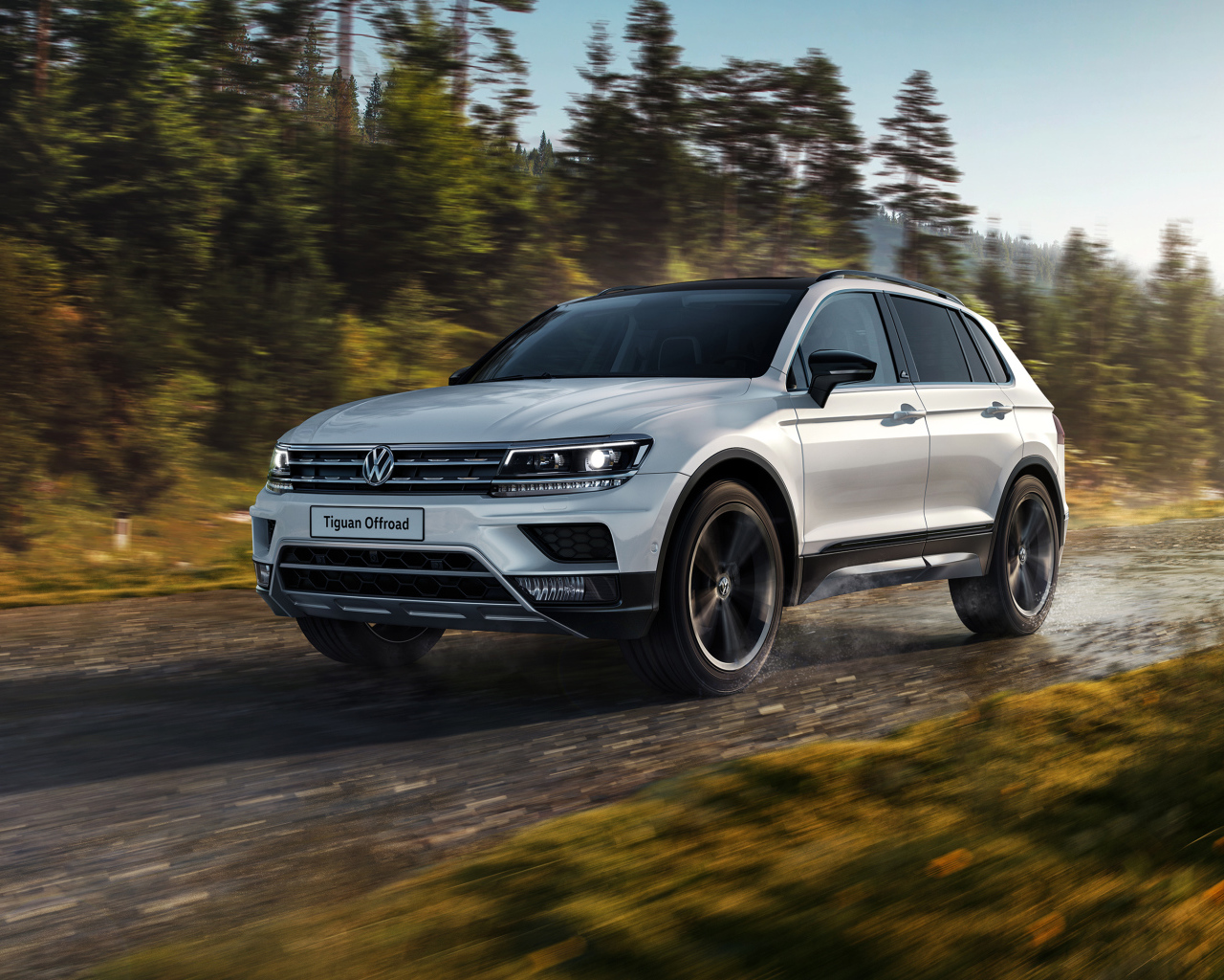 Серебристый внедорожник Volkswagen Tiguan на фоне леса 