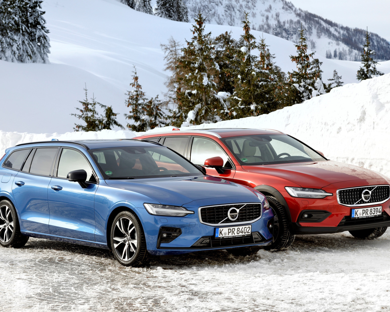 Два автомобиля Volvo V60 на фоне заснеженного леса