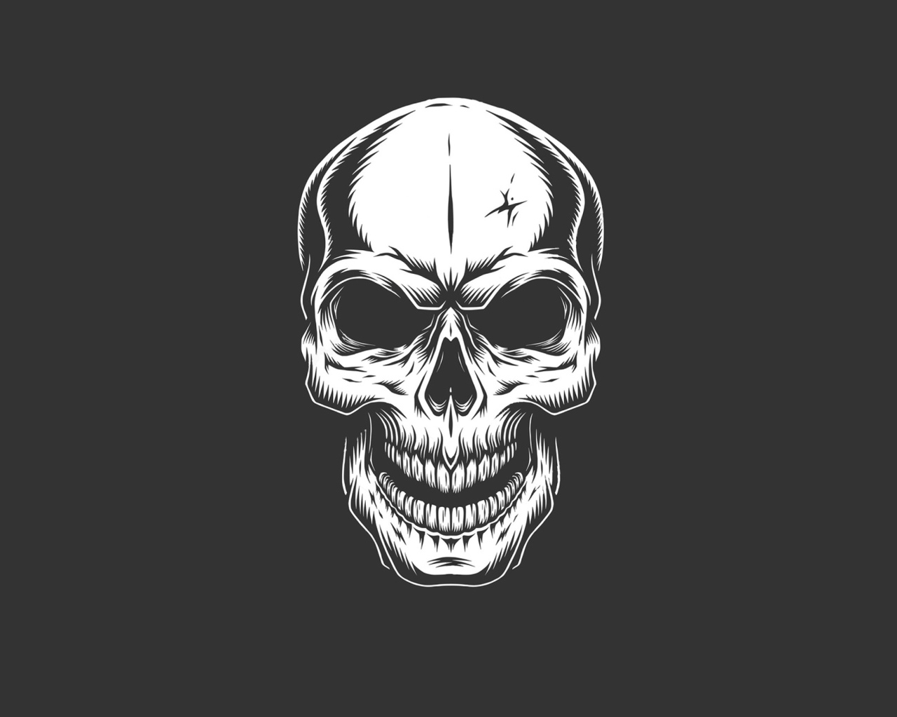 Белый нарисованный череп на сером фоне 