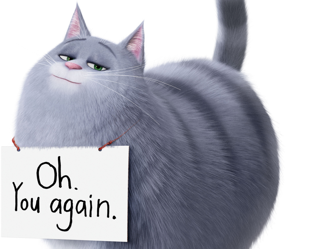 Кошка Хлоя из Тайная жизнь домашних животных 2 на белом фоне