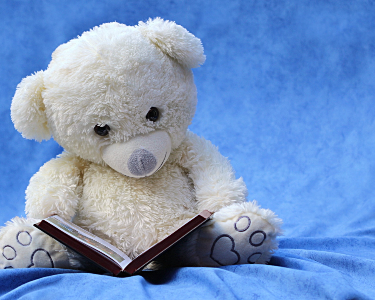 Белый плюшевый мишка с книгой на голубом фоне 