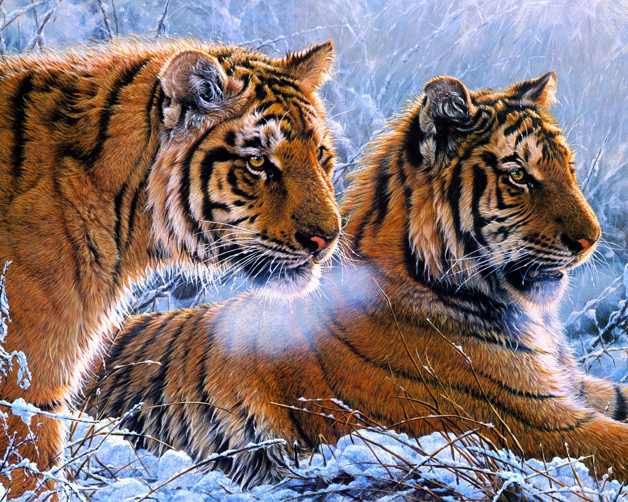 Два нарисованных тигра на снегу