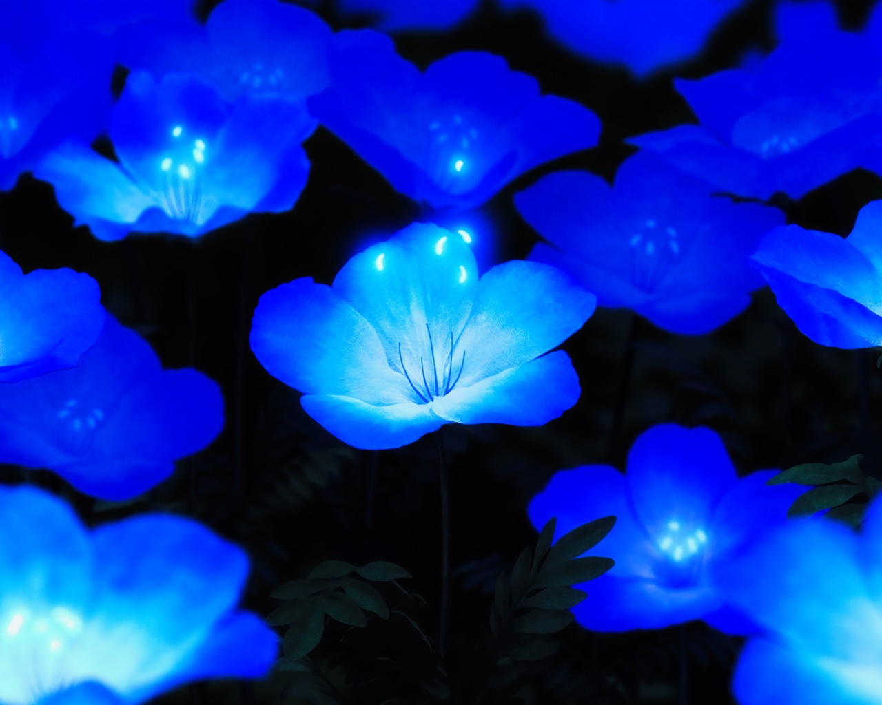 Красивые фантастические голубые цветы 