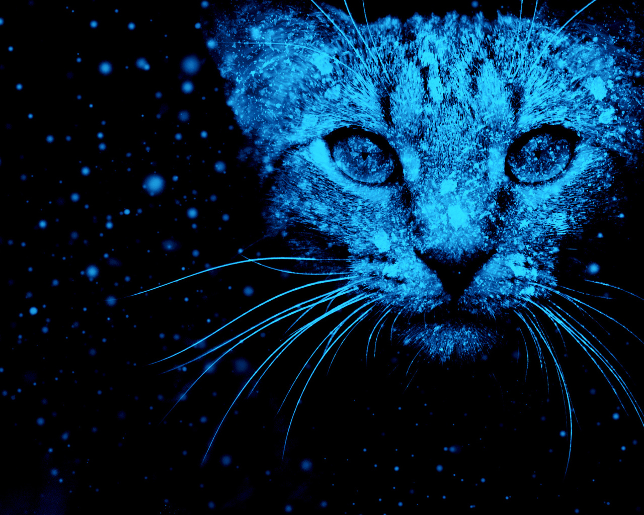 Неоновый фантастический кот на черном фоне 