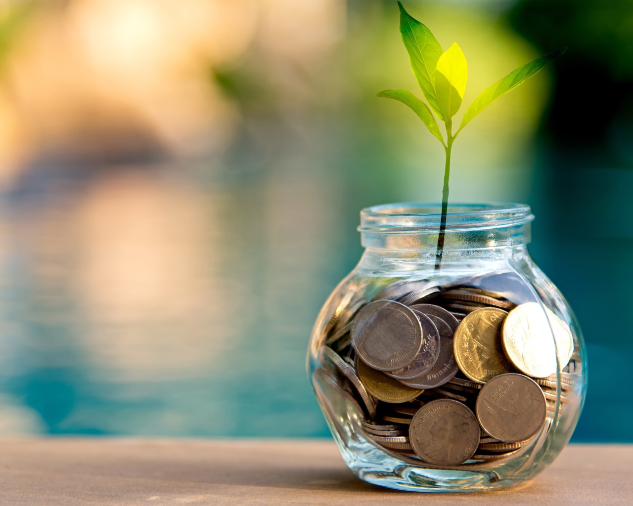 Зеленый росток прорастает из копилки 