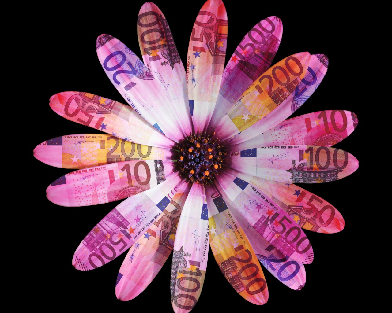 Цветок из купюр евро на черном фоне