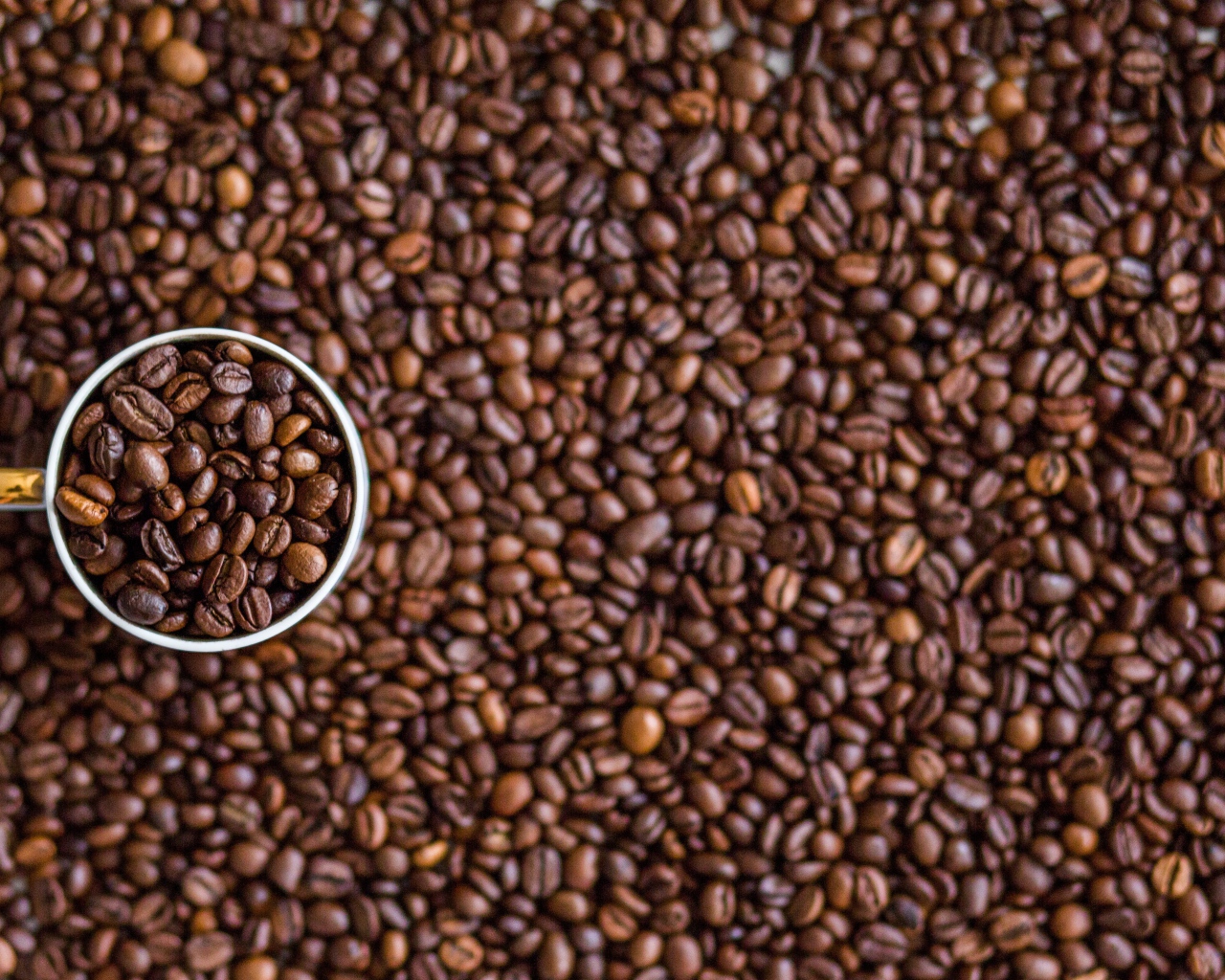 Чашка с кофейными зернами стоит на зернах 