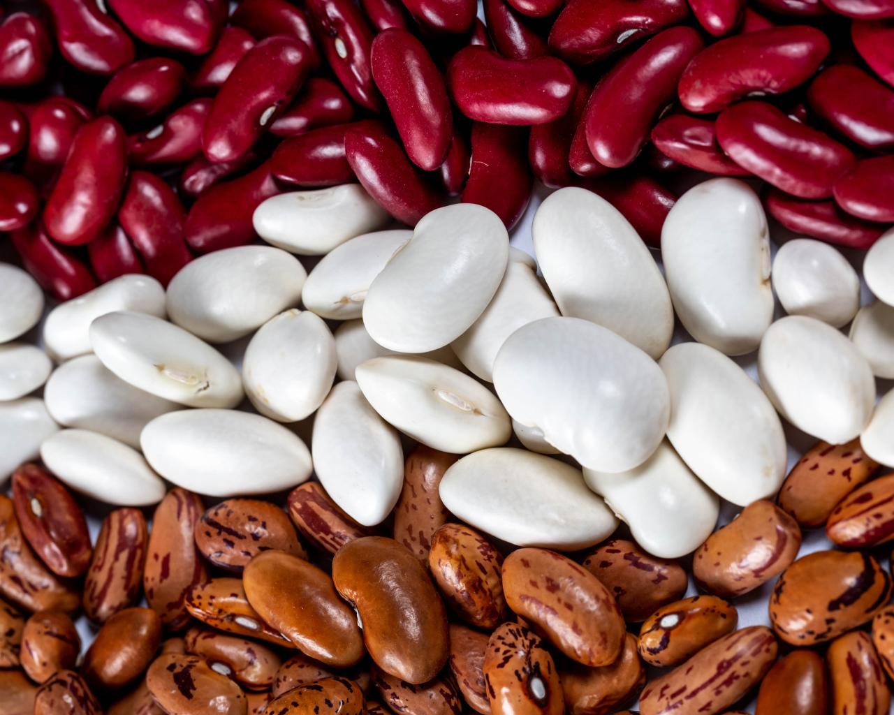 Много разноцветной фасоли крупным планом