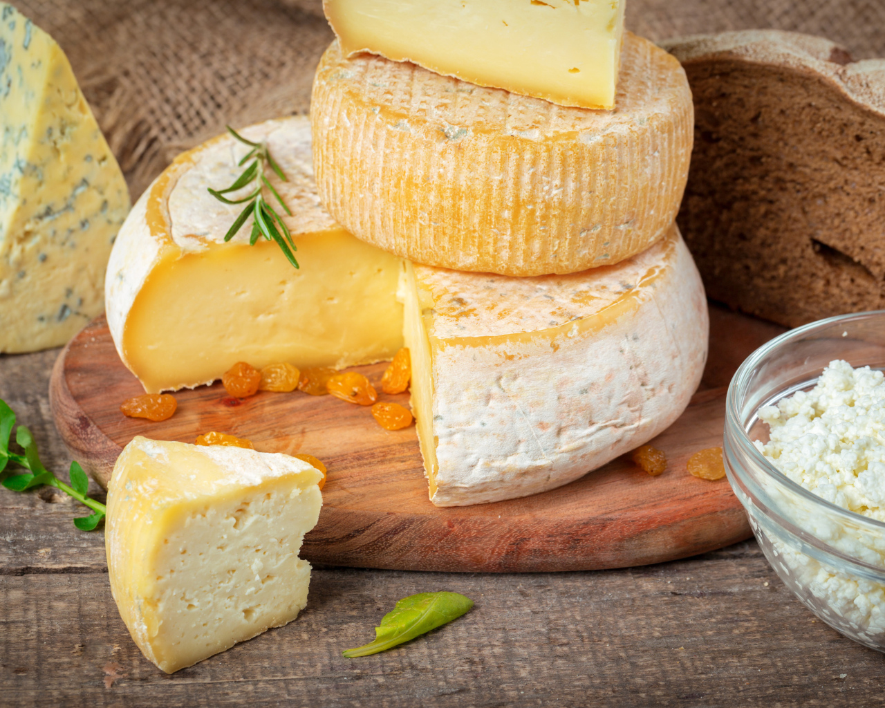 Сыр с плесенью на столе с хлебом и творогом