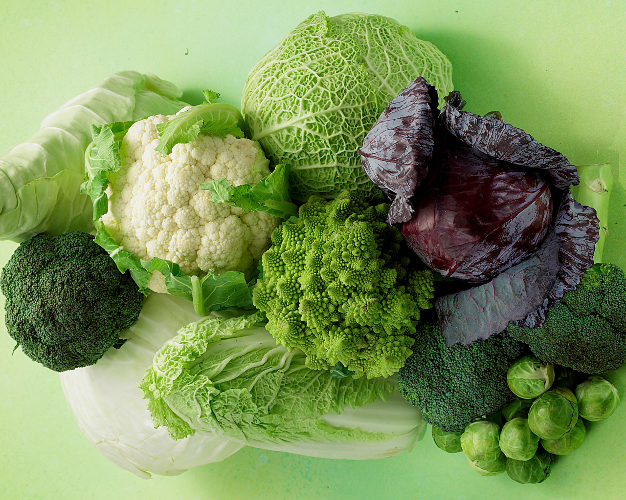 Разные виды капусты на зеленом фоне крупным планом