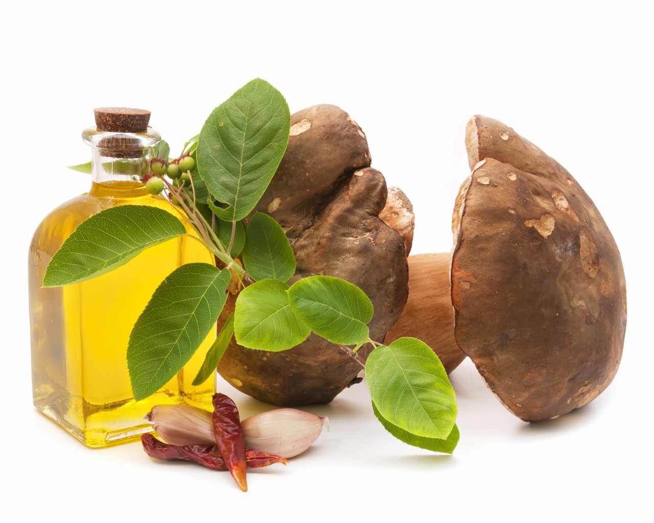 Грибы на белом фоне с оливковым маслом и чесноком