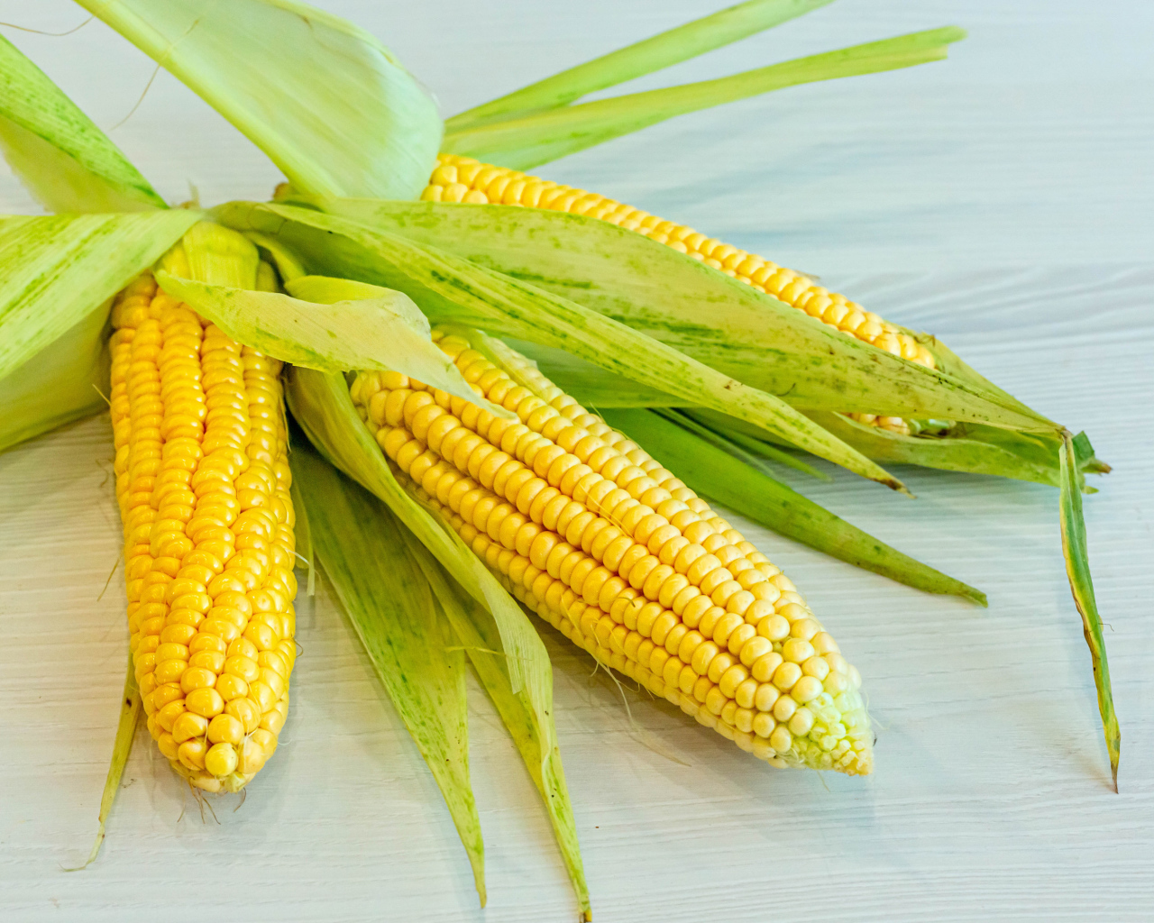 Желтые початки кукурузы с зелеными листьями на столе